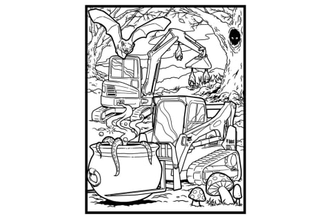 Image of Spooky Forest Coloring Page