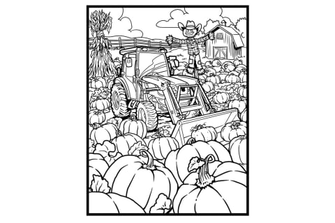 Image of Pumpkin Harvest Coloring Page
