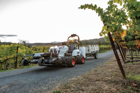 A Bobcat AT450X Autonomous Articulating Tractor Tows a Trailer Through a Vineyard