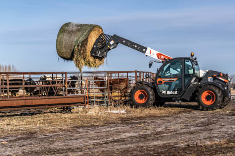 A Bobcat TL619 Telehandler Lifts a Large Bale of Hay Into a Livestock Pen