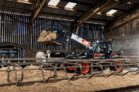 An action shot of a male operator using a Bobcat TL30.70 agri telehandler to move hay inside a cow barn.