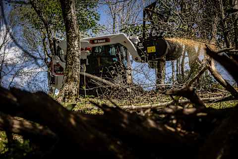 Bobcat Pro T86-2 compact track loader with drum mulcher attachment in a forest mulching a tree down to the land.