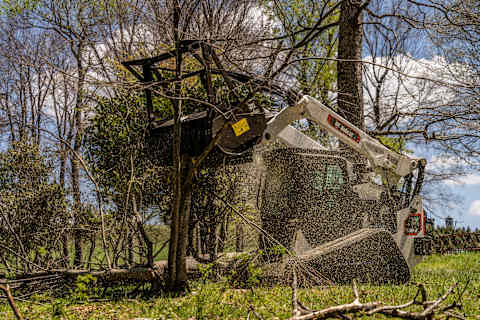 Left side view of a Bobcat Pro T86-2 with land management package equipped with a 61" drum mulcher attachment mulching a tree