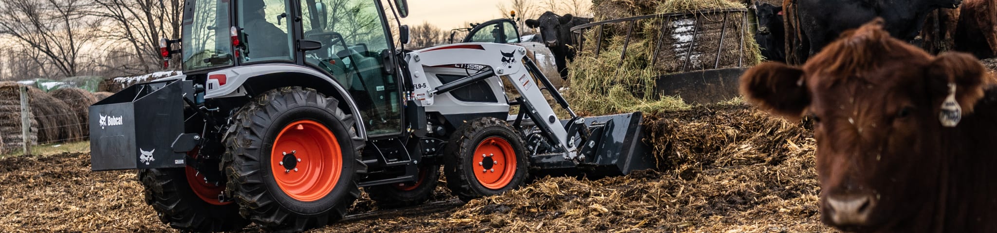 Farmer Cleaning Up A Corral Using His Bobcat CT5558 Compact Tractor With Bucket Attachment