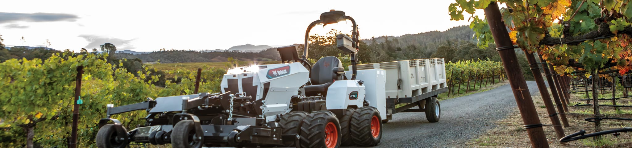 Bobcat AT450X Drives in a Vineyard