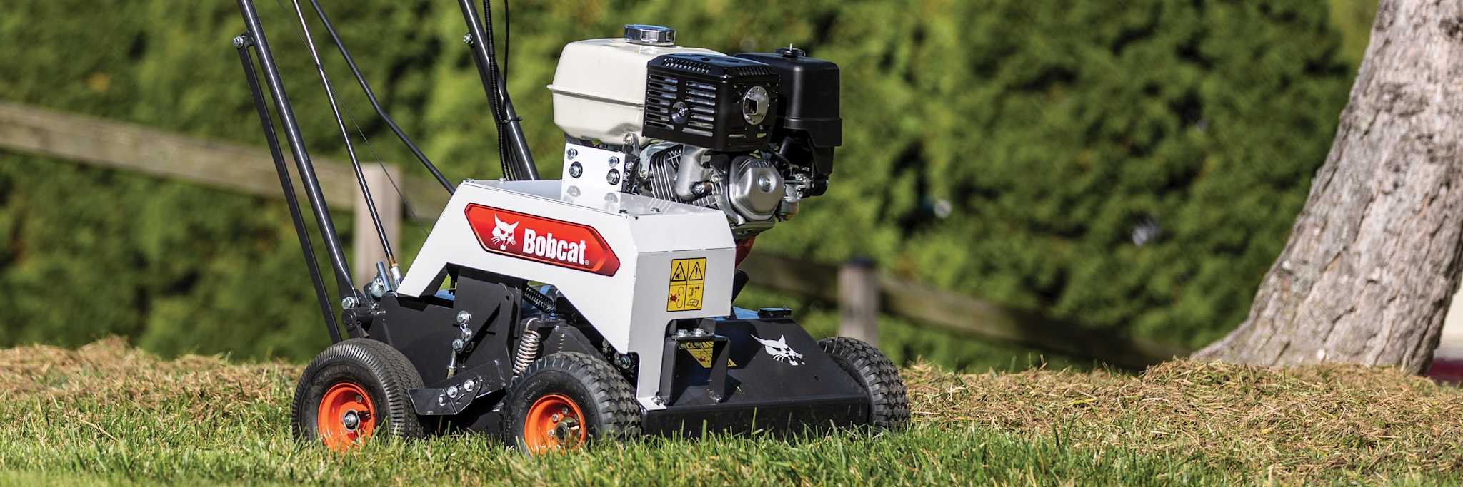 Bobcat DT19 Dethatcher on Grass