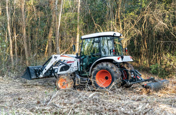 Operator Using A Bobcat CT5558 Compact Tractor With Three-Point Tine Rake Attachment To Rake Dead Limbs And Brush Along Tree Line