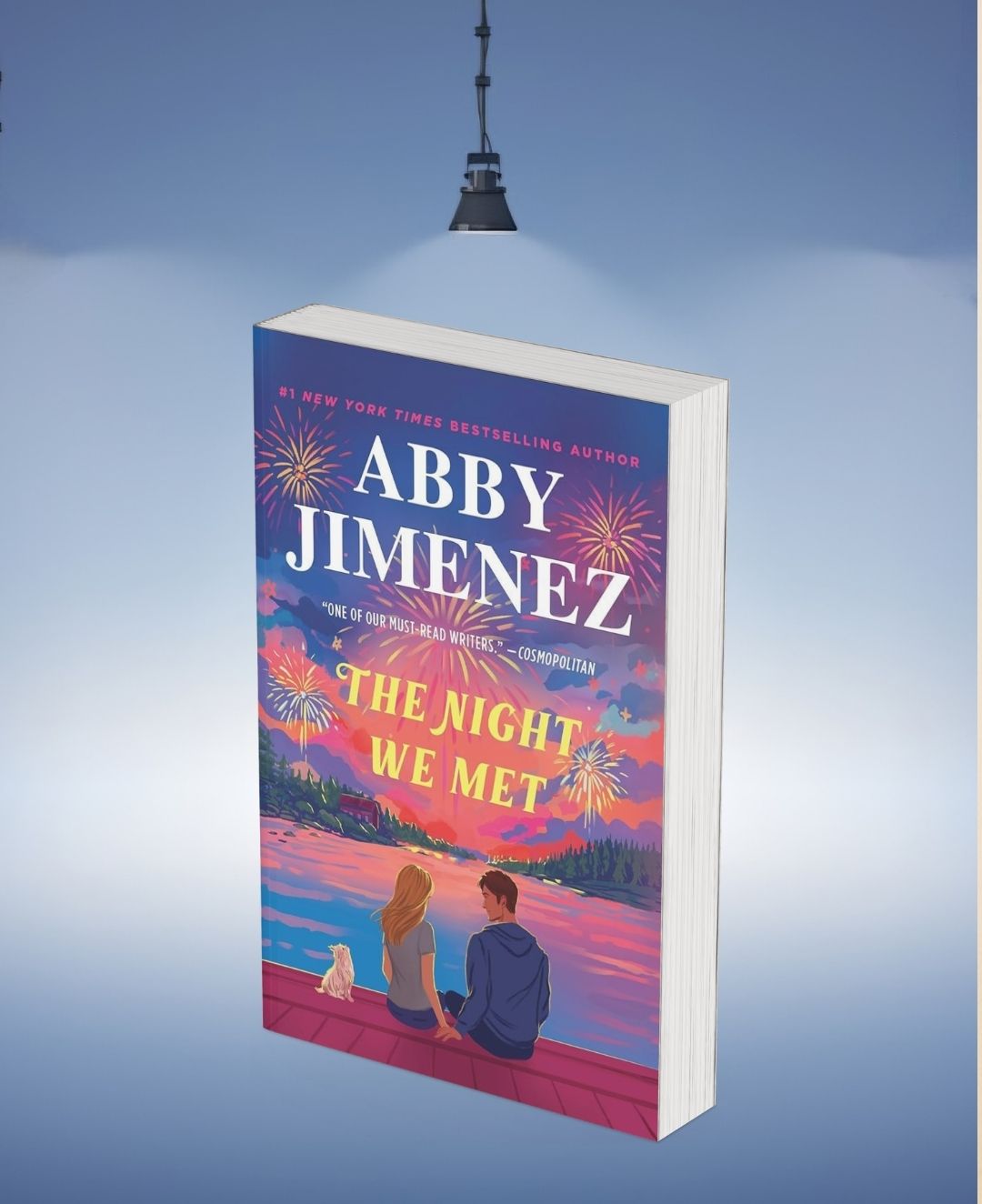 The Night We Met