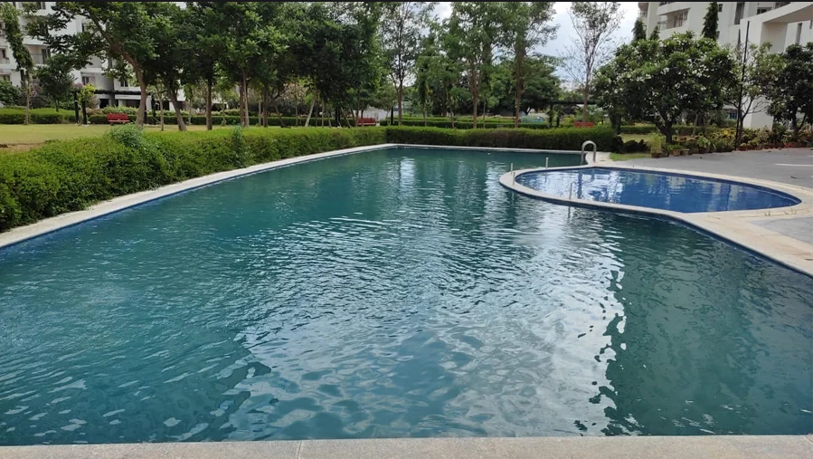 Swimming pool