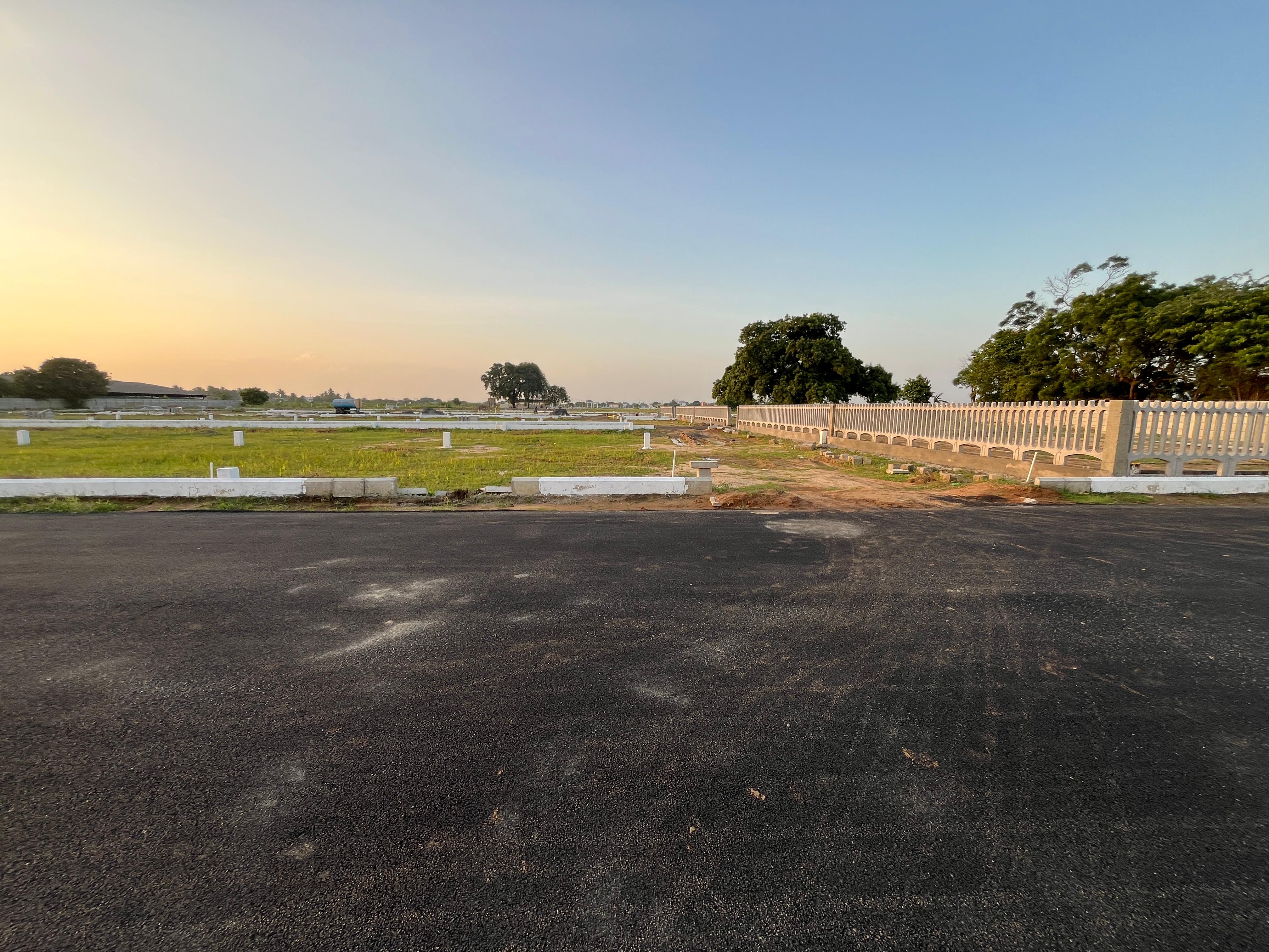 Plot View