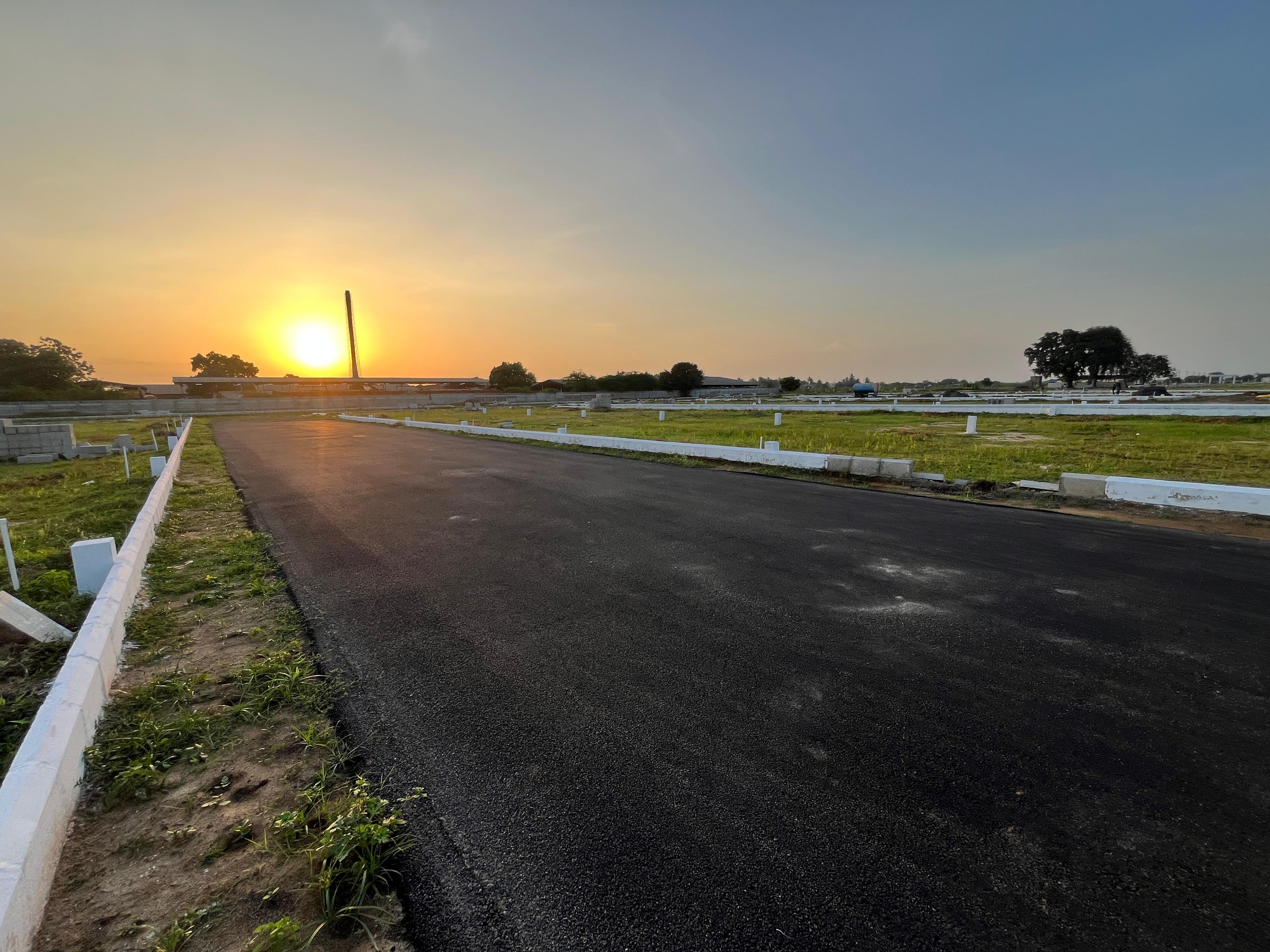 Site View