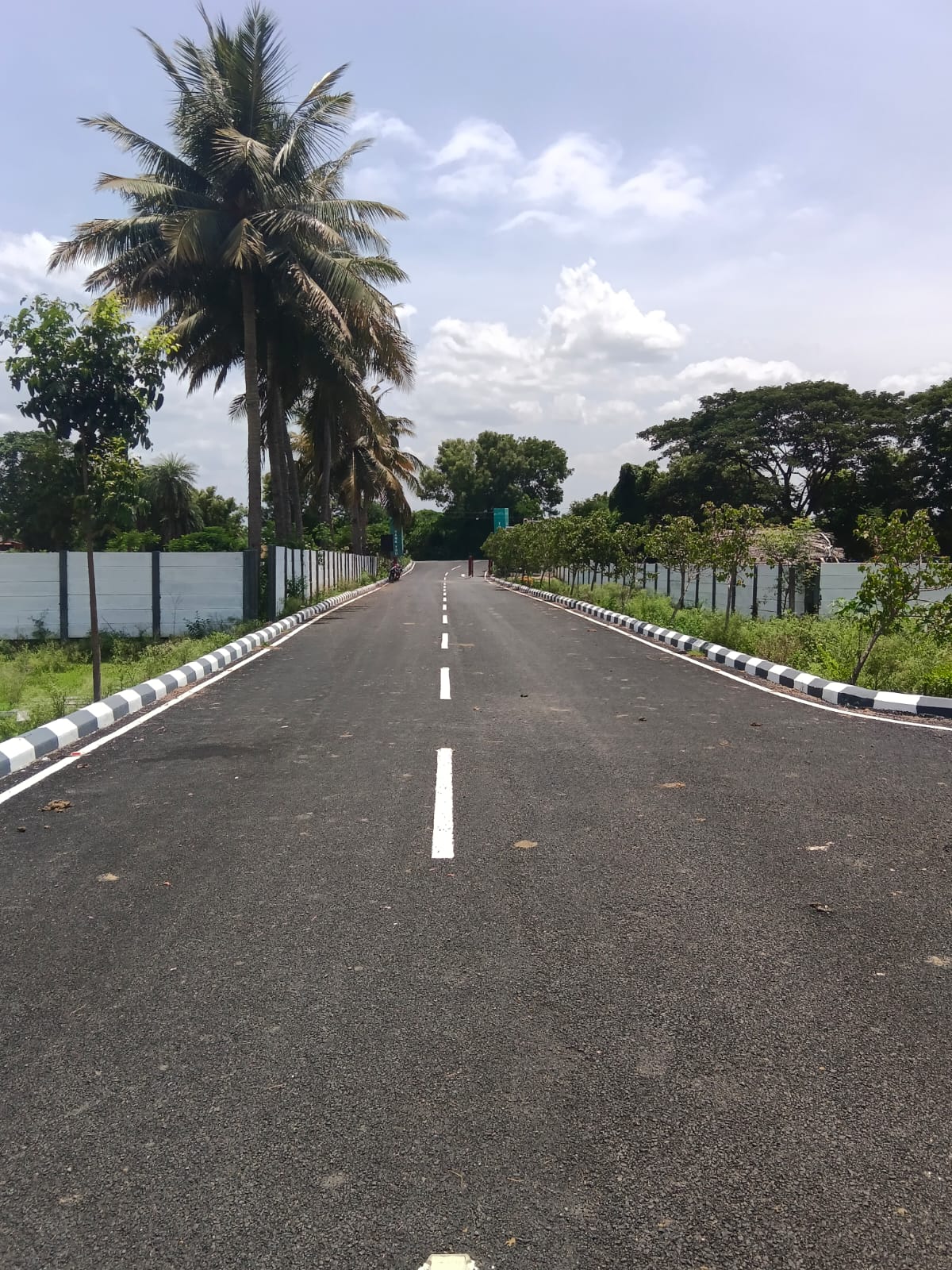 Site View