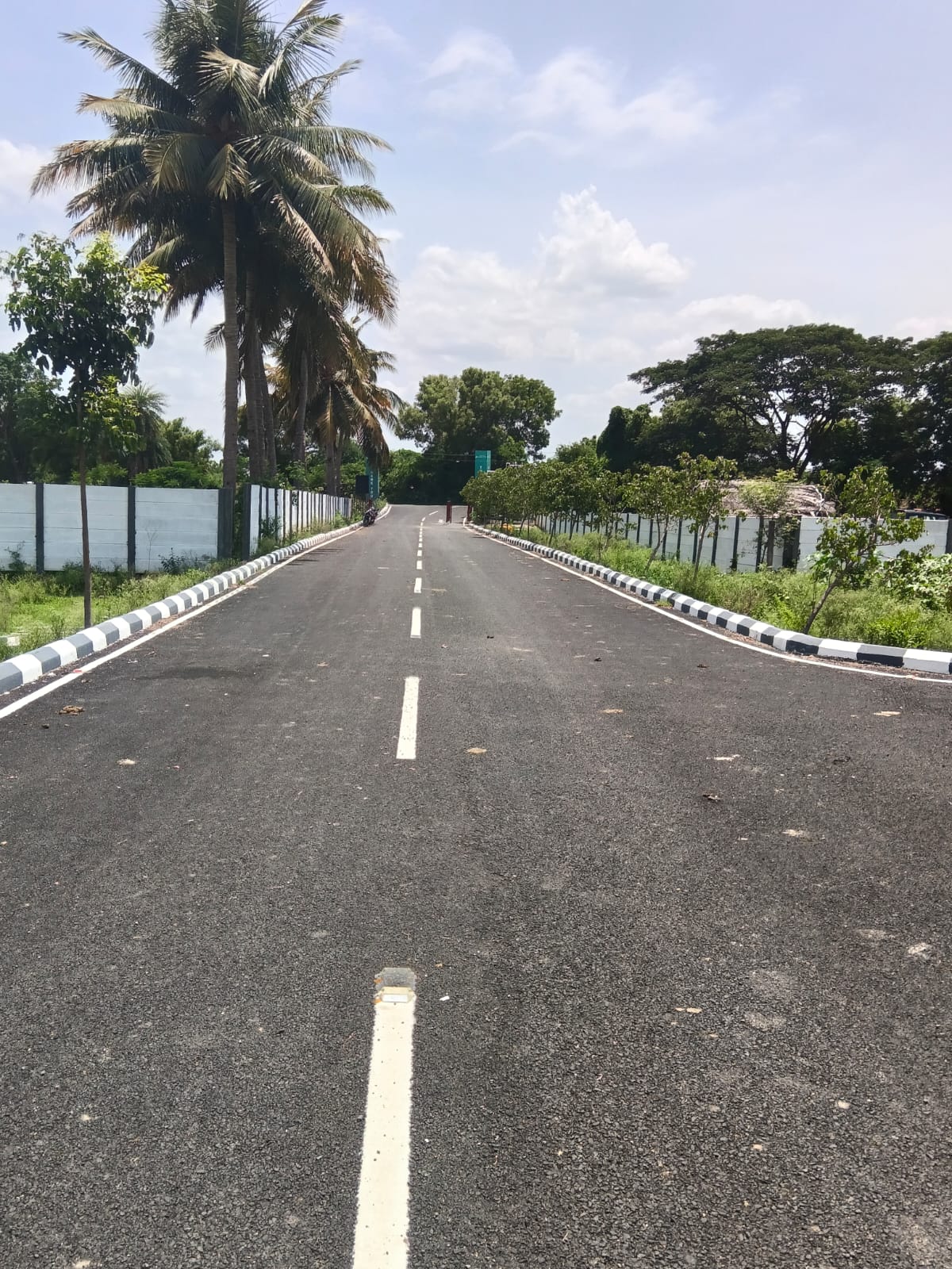 Site View