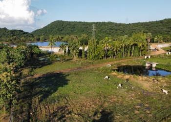 Paalaar Urban Farms: coverage