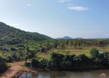 Paalaar Urban Farms: open area