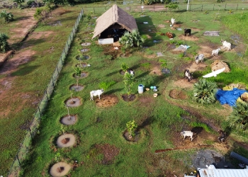 Paalaar Urban Farms: house