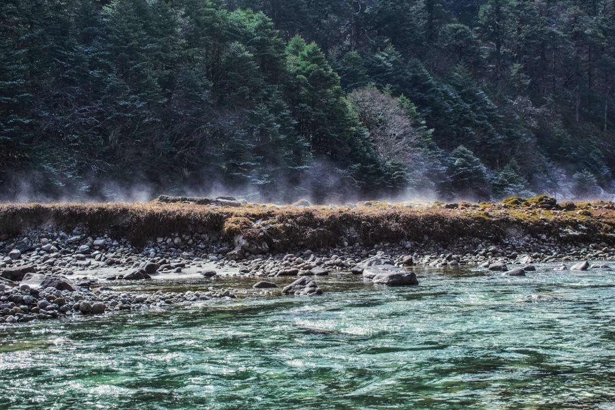 Kalimpong Colonial Charm Experience