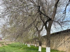 В Дербентском районе продолжаются масштабные субботники