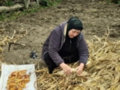 Международный день сельских женщин отметили в Гумбете
