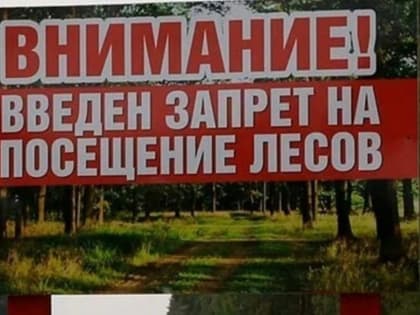 В Ногайском районе Дагестана введен запрет на нахождение в лесах из-за высокой пожароопасности