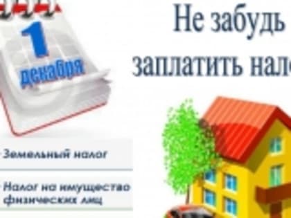 Уплатите налоги не позднее 1 декабря 2022 года