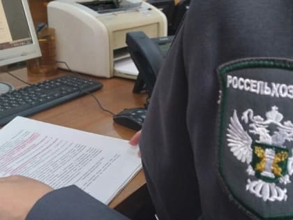 В Дагестане выявлено 11 нарушений по ввозу лесоматериалов, яблонь и риса