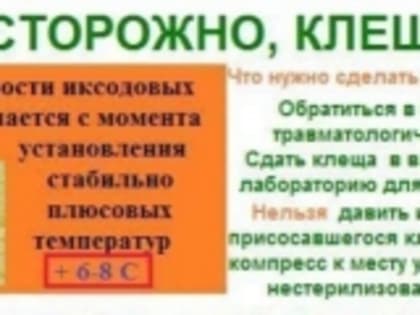 Осторожно: клещи!