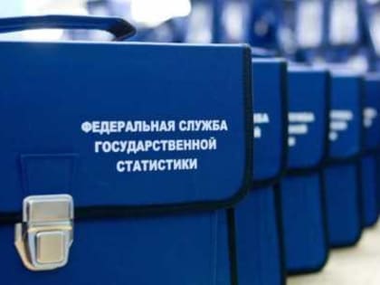 9% населения Дагестана прошли Всероссийскую перепись