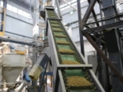 В Дагестане местная фабрика впервые запустила уникальное производство кормов для птицы