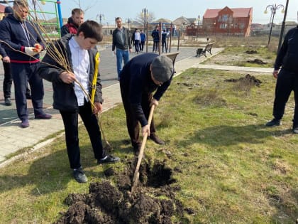 Ризван Газимагомедов посетил сквер в селе Красноармейское, где вместе с юным махачкалинцем посадил дерево