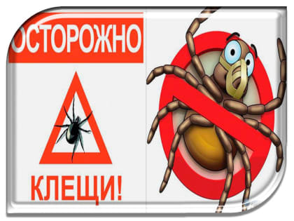 Крымская геморрагическая лихородка