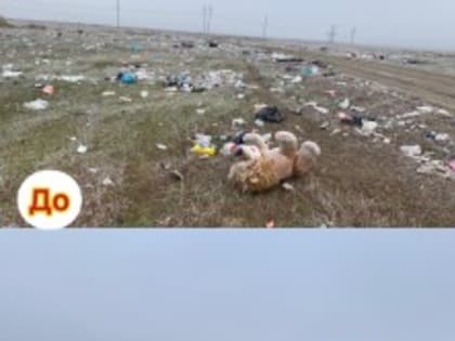 К северу с.Терекли-Мектеб Ногайского района провели субботник