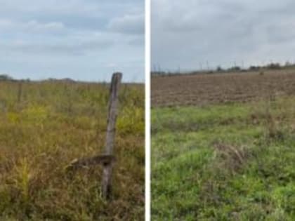 В РД обнаружили 122 га несуществующих виноградников в г. Дербенте и Дербентском районе