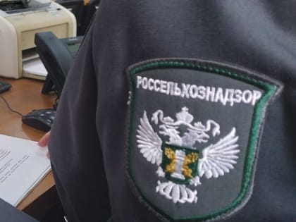 Нарушения при перевозке подкарантинной продукции в Дагестане