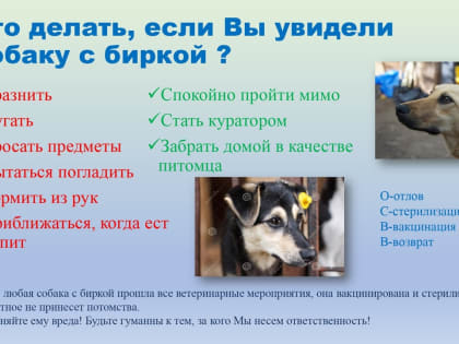 О распространении материалов в рамках информационно-разъяснительной работы с населением, направленной на гармонизацию отношений безнадзорных животных и общества