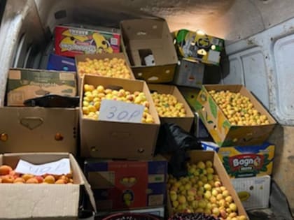 Сельхозпроизводители Дагестана поблагодарили мэра Махачкалы за возможность сбыта плодоовощной продукции по ул. Батырая