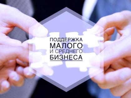 Меры и формы государственной поддержки, оказываемые Агентством по предпринимательству и инвестициям Республики Дагестан субъектам малого и среднего предпринимательства