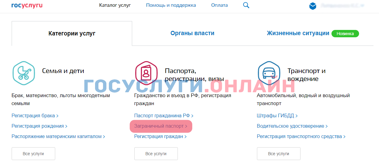 Процесс получения загранпаспорта через госуслуги старого образца