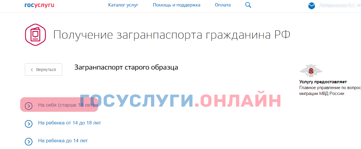 Как записаться на госуслугах на получение загранпаспорта старого образца через госуслуги