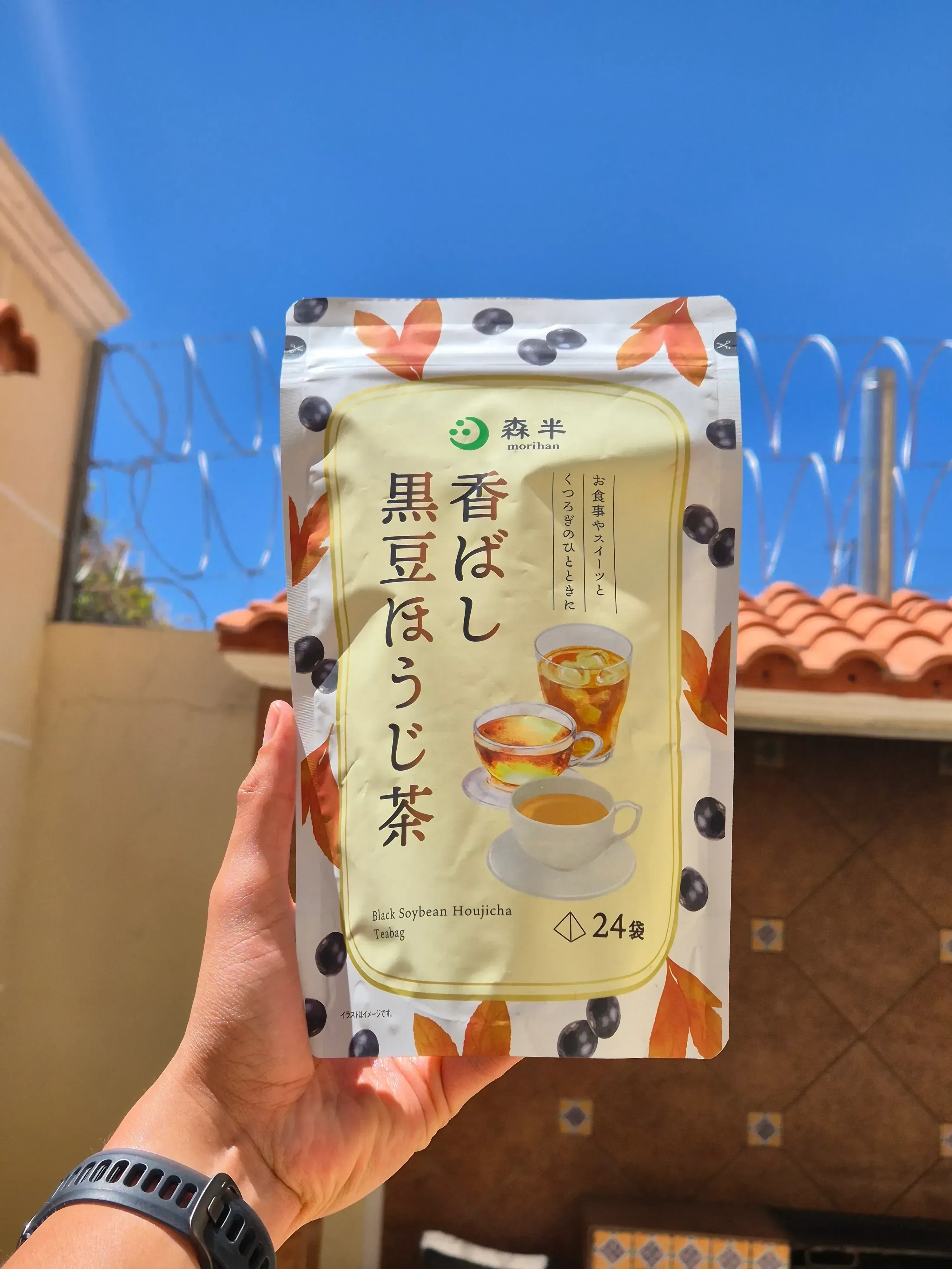 Morihan "Black Soyebean Houjicha" 
