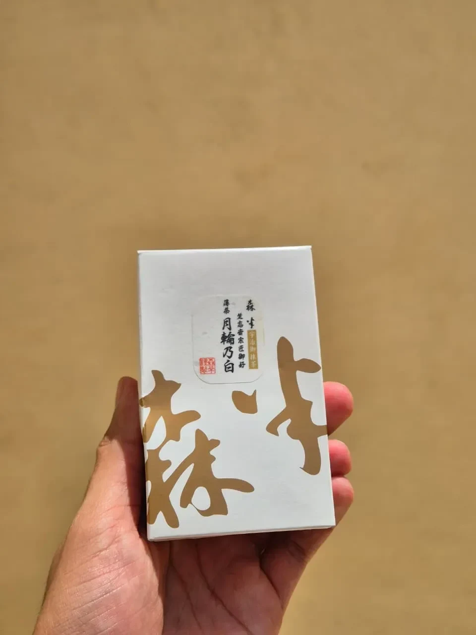 Morihan "Tsukikure no Shiro"