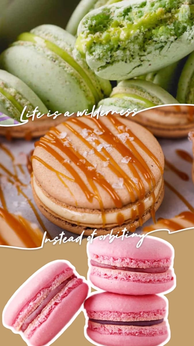 Bánh macaron Pháp cao cấp Sweet Dreams