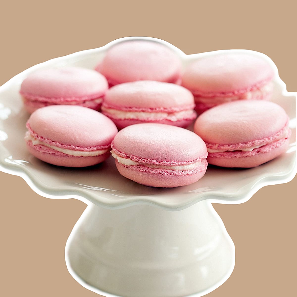 Macaron rose