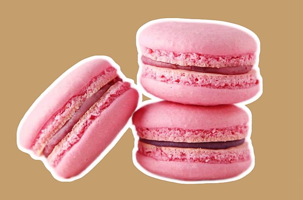 Macaron Rose