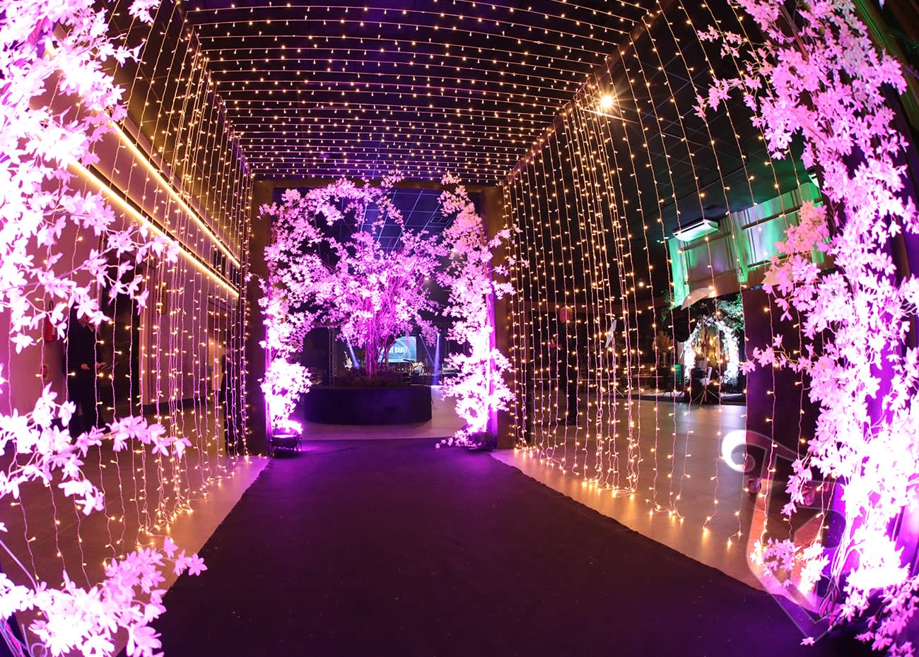 Decorações e Cenografia - Foto 17