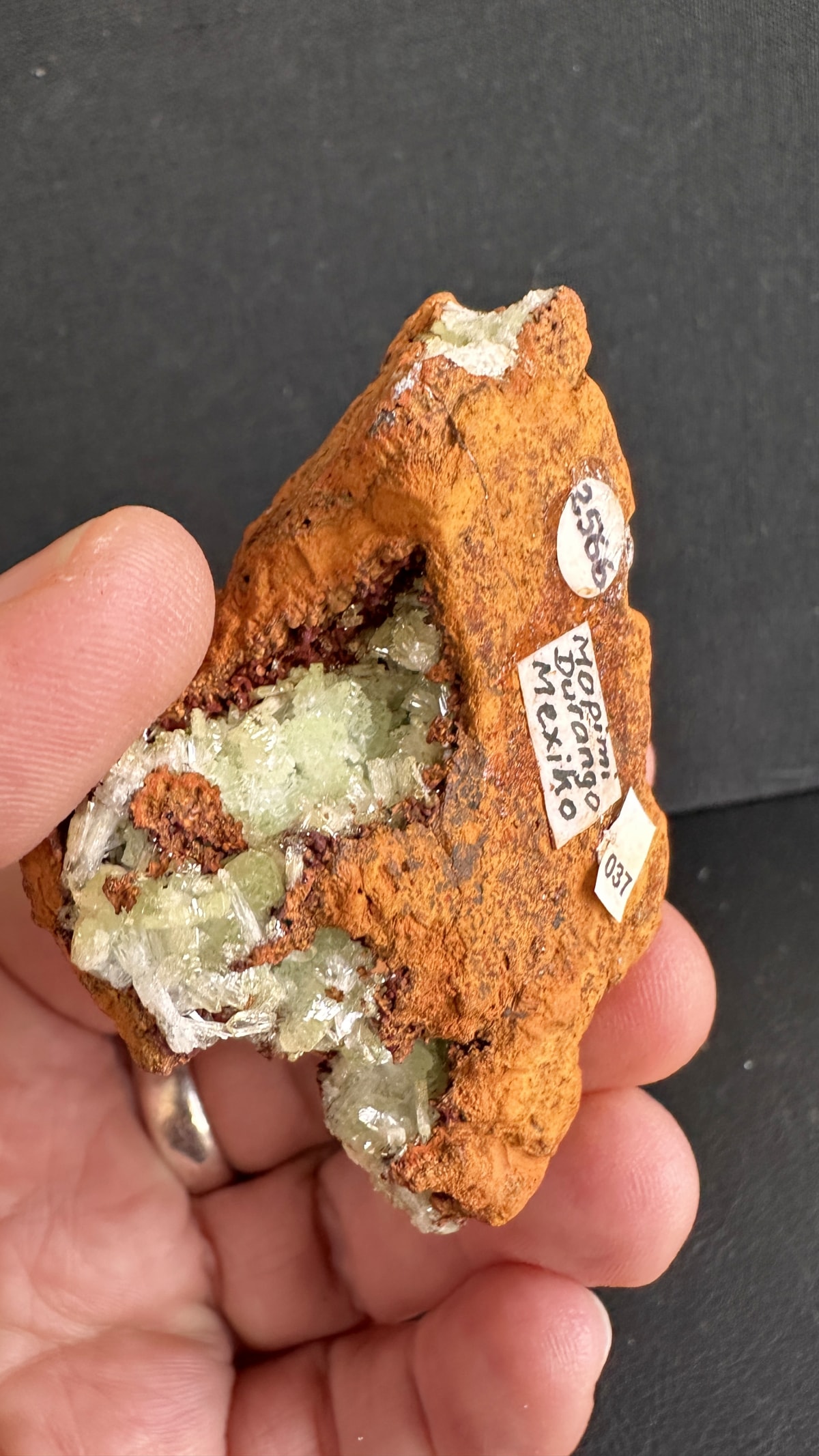 Adamita de Mina Ojuela, México — Terrium