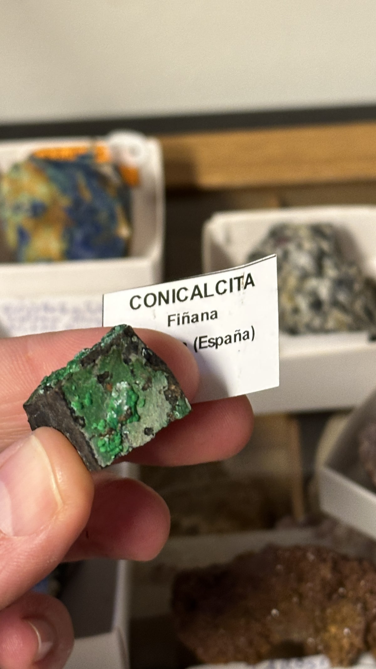 Conicalcita de Mina Previsión, Fiñana, Andalucía, España