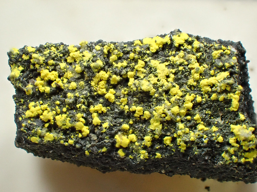 Zippeita from Distrito de Grants, McKinley County, Nuevo México, Estados Unidos — Terrium