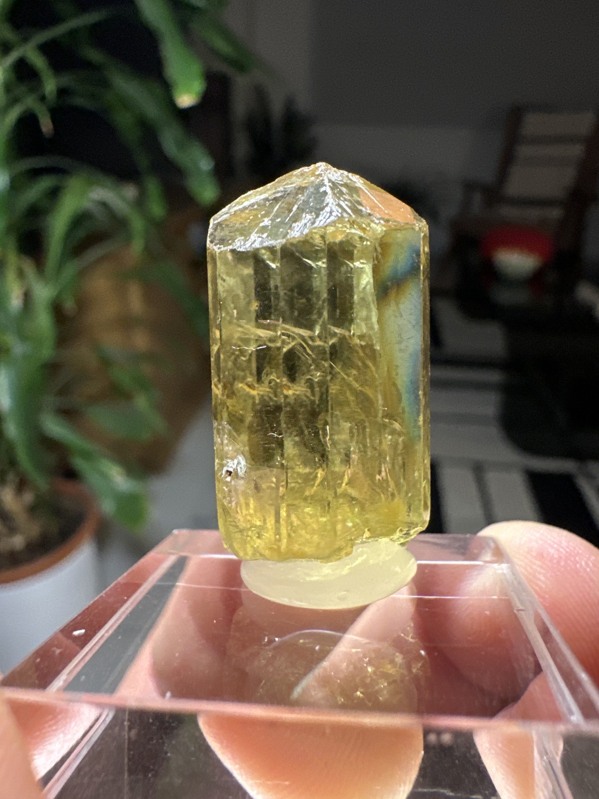 Apatito from Cerro del Mercado, Victoria de Durango, Cerro de los Remedios, Durango, México — Terrium