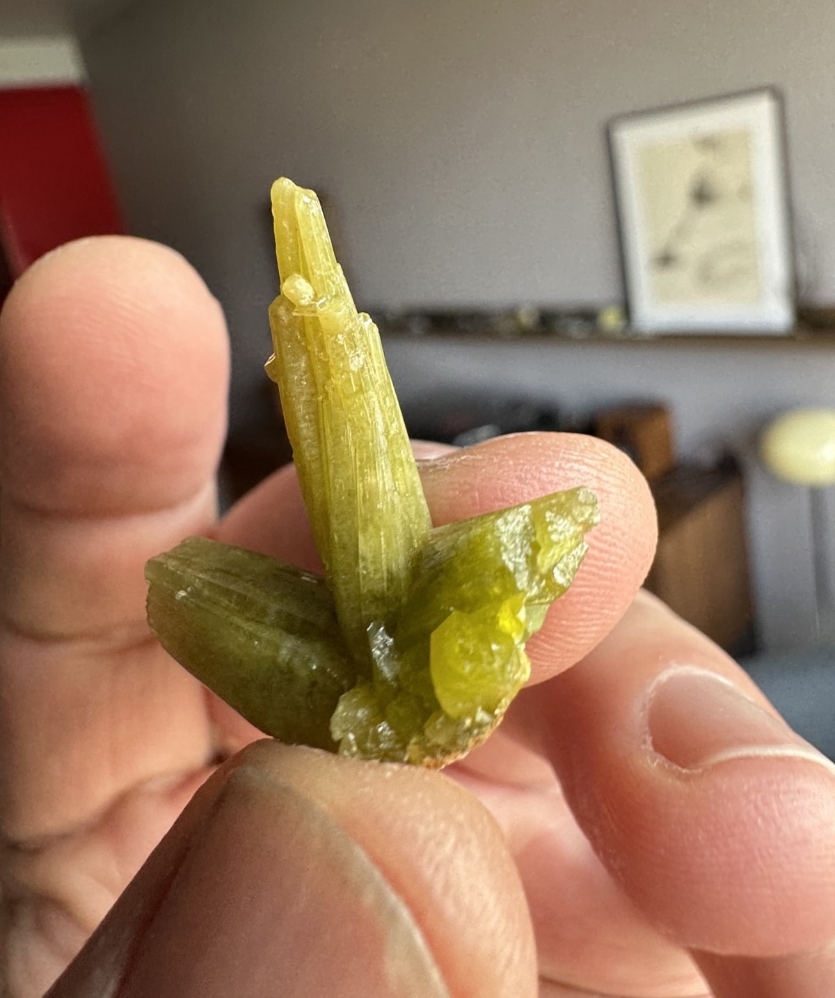 Piromorfita from Yanga Koubenza Quarries, Mfouati, Mfouati District, Bouenza Department, República del Congo — Terrium